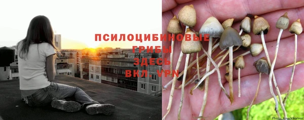 гашиш Переславль-Залесский