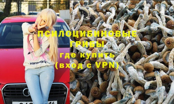 метамфетамин Белокуриха
