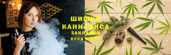 стаф Пестово